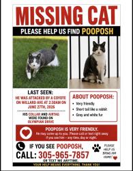 Lost Male Cat last seen Was last seen on Willard ave sw. Last airtag location was Olympian dr, Atlanta, GA 30310
