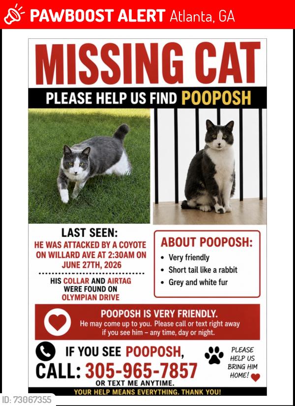 Lost Male Cat last seen Was last seen on Willard ave sw. Last airtag location was Olympian dr, Atlanta, GA 30310