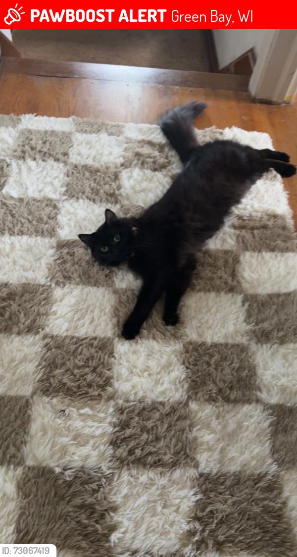 Lost Male Cat last seen Oneida, military, Green Bay, WI 54303
