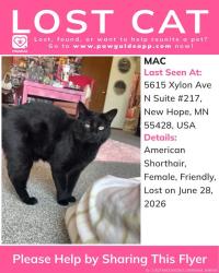 Reunited Female Cat last seen Bass Lake Rd and Xylon Ave N, New Hope, Mn 55428, New Hope, MN 55427