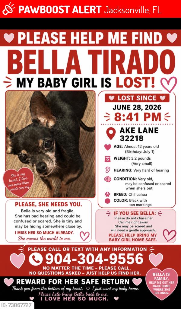 Lost Female Dog last seen Near ake lane, Jacksonville, FL 32218