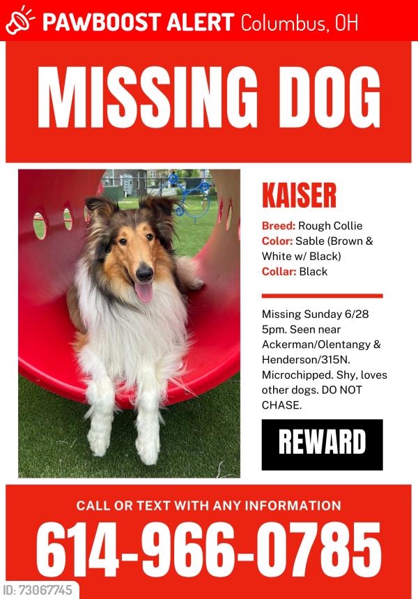Lost Male Dog last seen Henderson and 315NB, Columbus, OH 43220