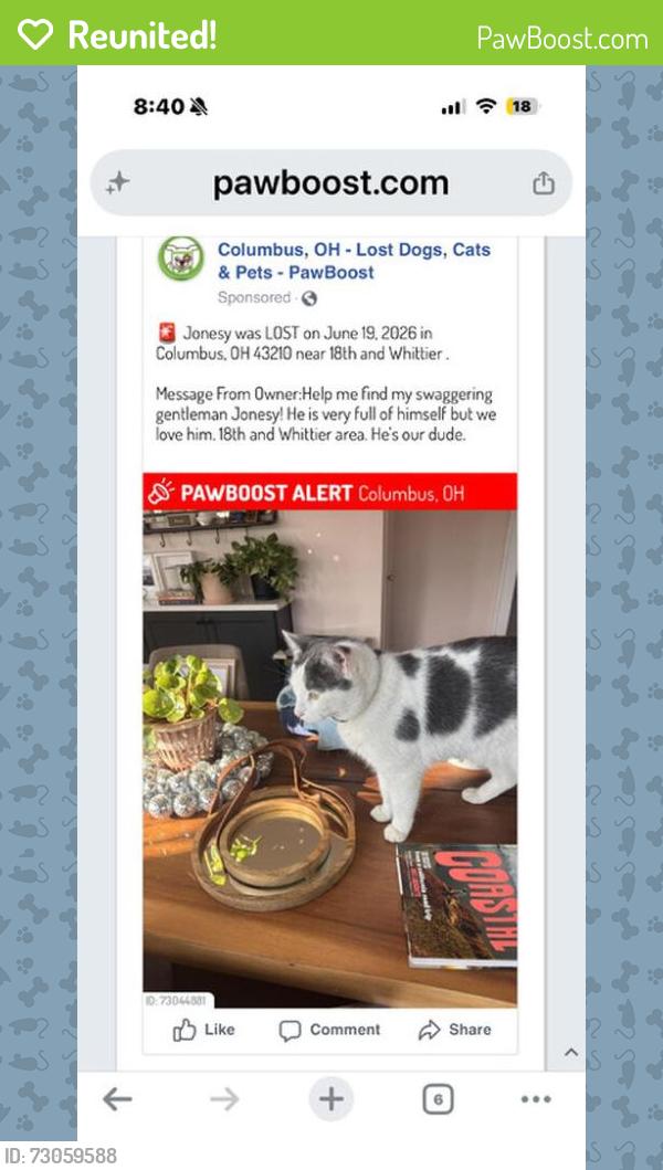 Reunited Male Cat last seen S. 18th St, Columbus, OH 43205