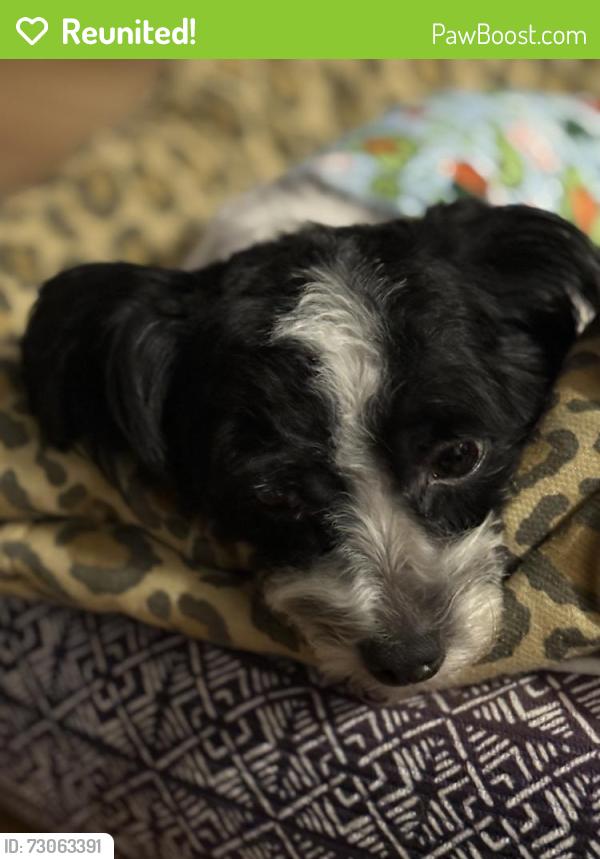 Reunited Male Dog last seen 77th and Eberhart , Chicago, IL 60619