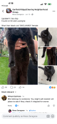 Found/Stray Female Cat last seen Cicero and archer, Chicago, IL 60638