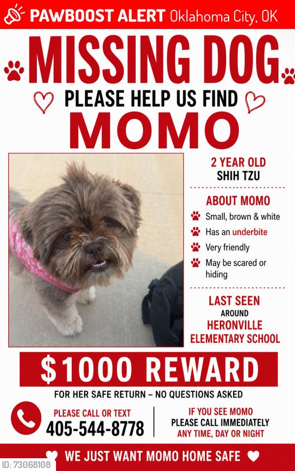 Lost Female Dog last seen sw 29th by 7/11, Oklahoma City, OK 73119