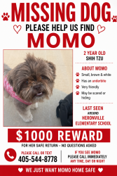 Lost Female Dog last seen sw 29th by 7/11, Oklahoma City, OK 73119