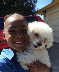Lost Male Dog last seen He was at home then left, Sacramento, CA 95823