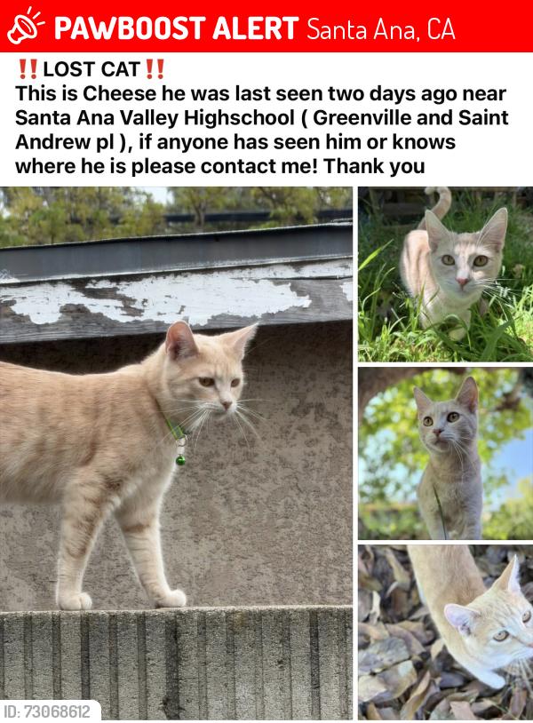 Lost Male Cat last seen Greenville and St. Andrew pl, Santa Ana, CA 92704