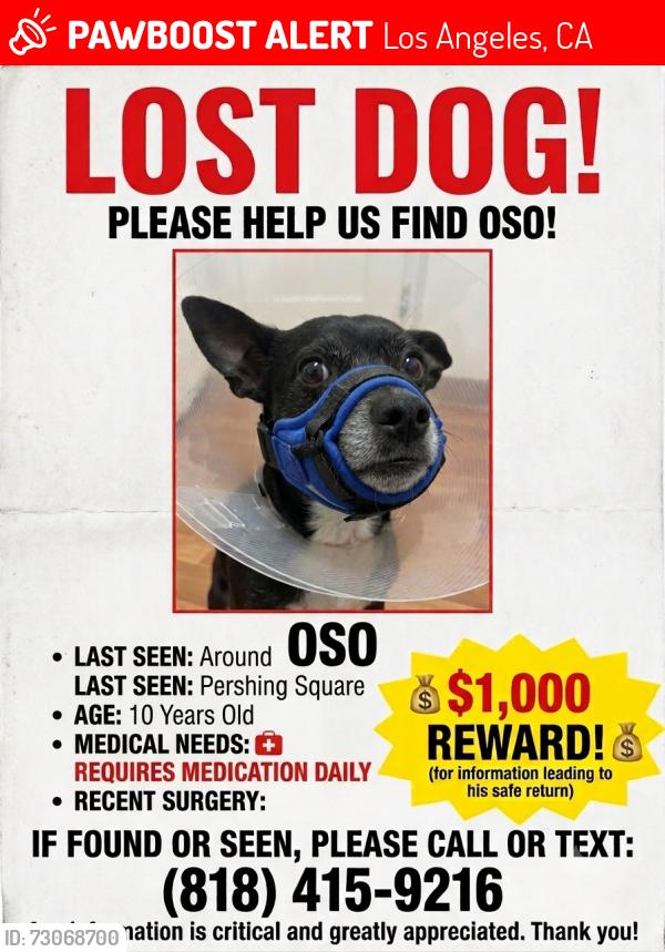 Lost Male Dog last seen 6th st and Hope, Los Angeles, CA 90014