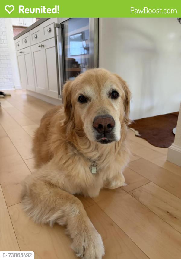 Reunited Male Dog last seen Near Meridian Ave, San Jose, CA 95126, USA, San Jose, CA 95126