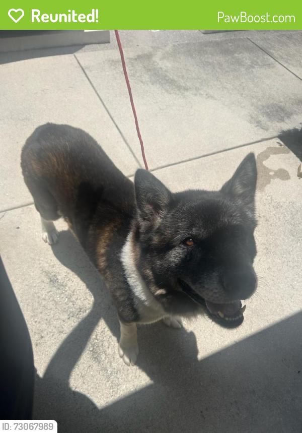 Reunited Unknown Dog last seen Port St Lucie, Port St. Lucie, FL 34986
