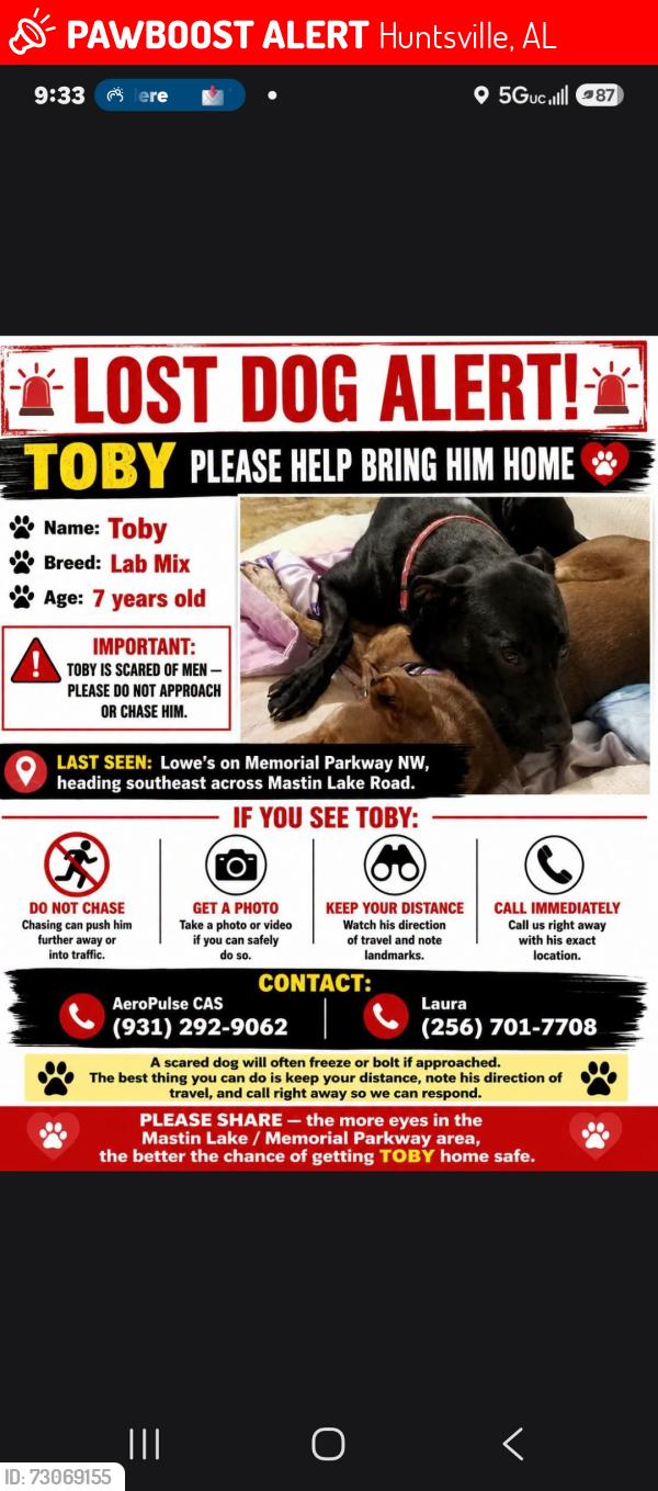 Lost Male Dog last seen Mastin lake rd, Huntsville, AL 35810