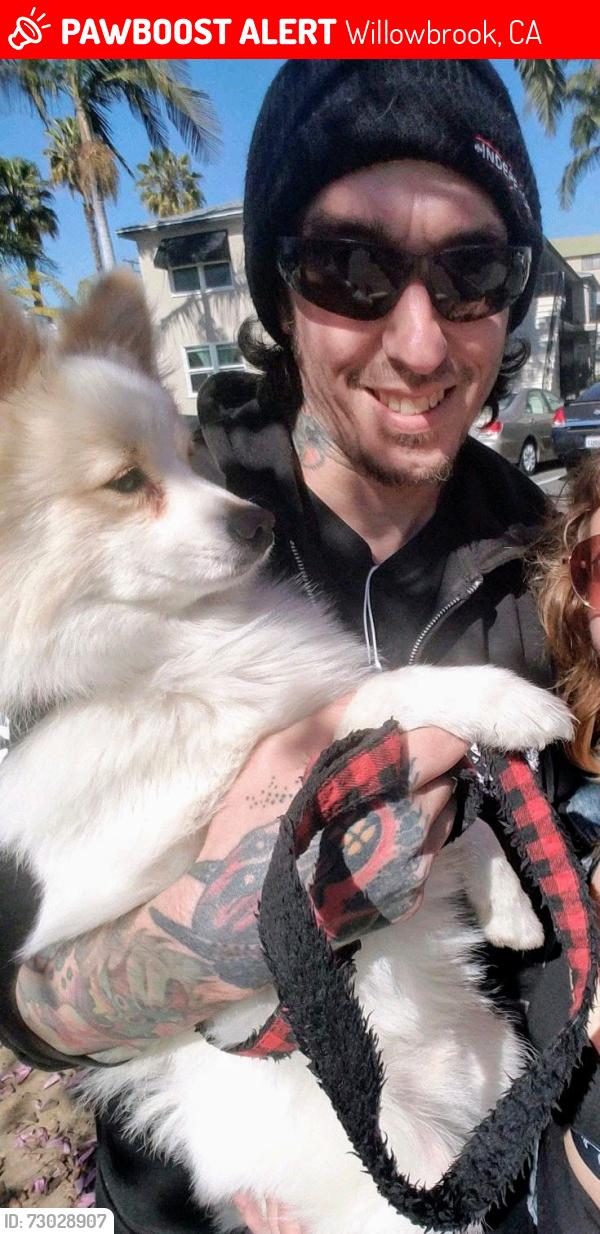 Lost Male Dog last seen Willowbrook Rosa Parks train station, Willowbrook, CA 90059