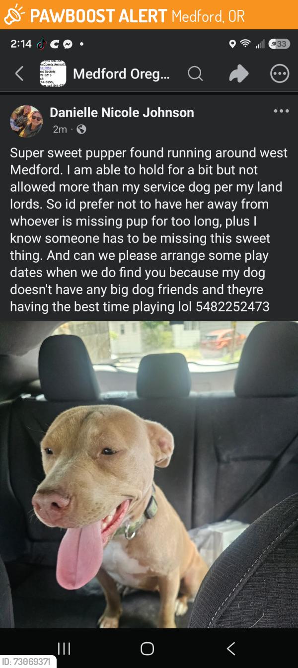 Found/Stray Female Dog last seen West 10th street, Medford, OR 97501