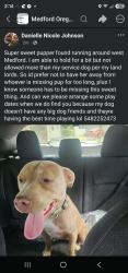 Found/Stray Female Dog last seen West 10th street, Medford, OR 97501