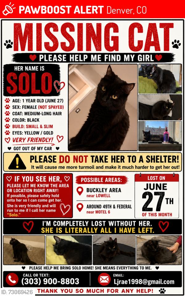 Lost Female Cat last seen 49th and Lowell, Denver, CO 80221
