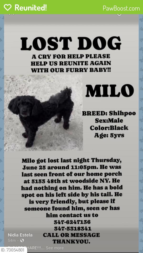 Reunited Male Dog last seen Near 48th street woodside NY , Queens, NY 11377