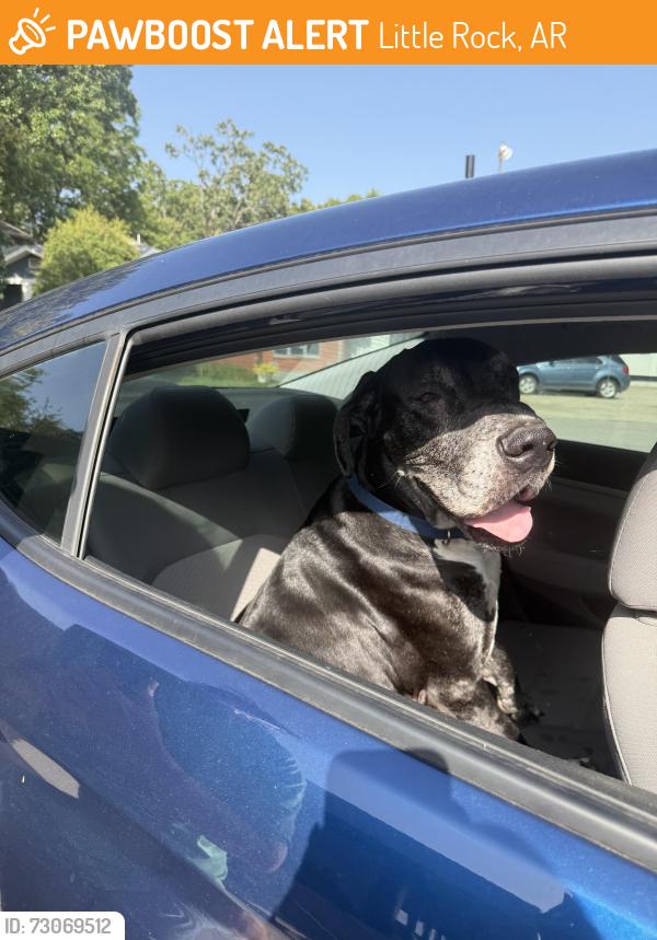 Found/Stray Male Dog last seen Markham St, Little Rock, AR 72207