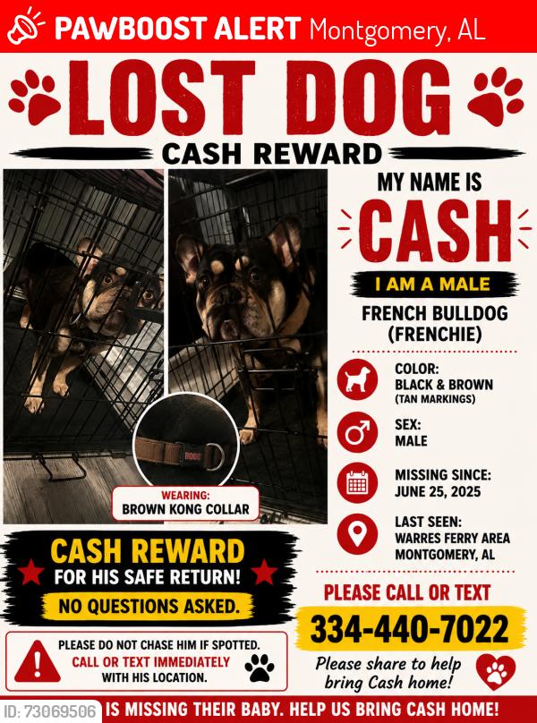 Lost Male Dog last seen Warres ferry rd, Montgomery, AL 36117
