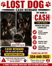 Lost Male Dog last seen Warres ferry rd, Montgomery, AL 36117