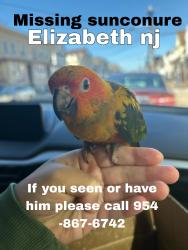 Lost Male Bird last seen Elizabeth , Elizabeth, NJ 07207