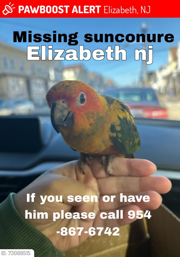 Lost Male Bird last seen Elizabeth , Elizabeth, NJ 07207