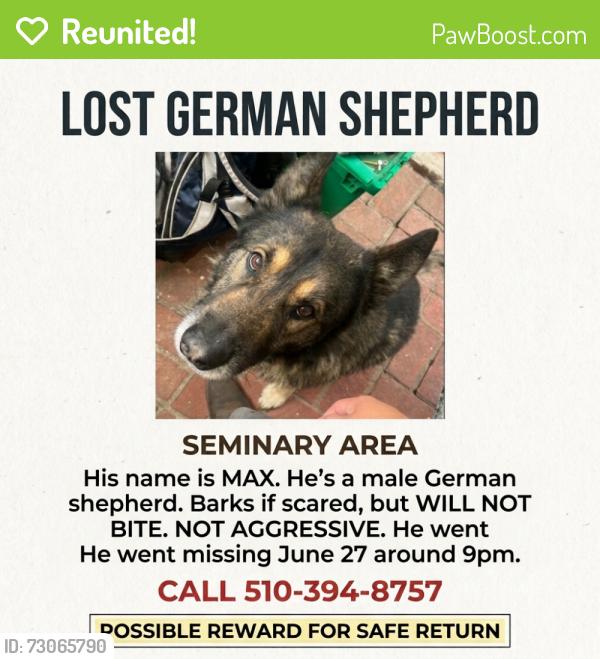 Reunited Male Dog last seen Near sunnymere ave , Oakland, CA 94605