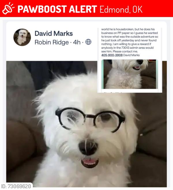 Lost Male Dog last seen 155th and North Penn, Edmond, OK 73013