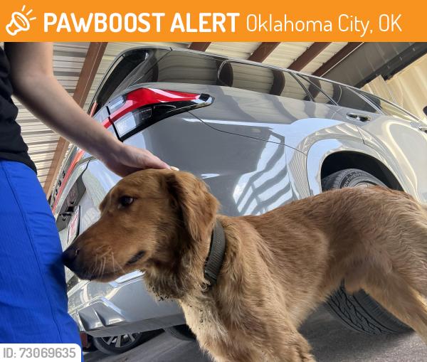 Found/Stray Male Dog last seen Sooner Rd. at Britton Rd., Oklahoma City, OK 73121