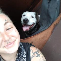 Lost Male Dog last seen Meijer by train tracks by Goshen city limit, Goshen, IN 46528