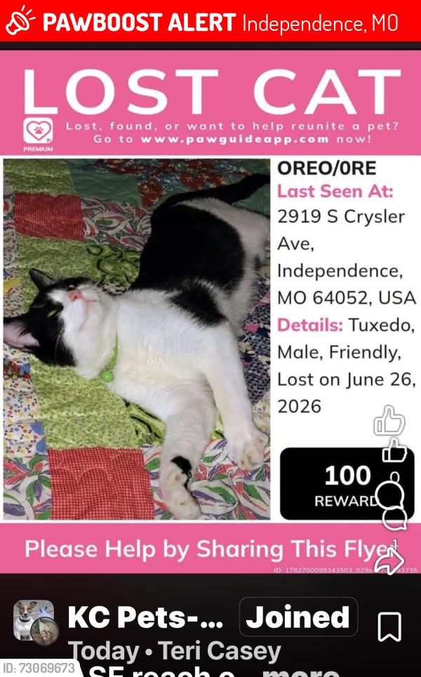 Lost Male Cat last seen Near th & S Chrysler, Independence, MO 64052