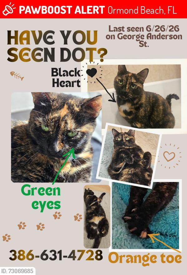 Lost Female Cat last seen Ormond Beach, 32174 Tomoka Estates -near George Anderson St and Coquina Ave., Ormond Beach, FL 32174