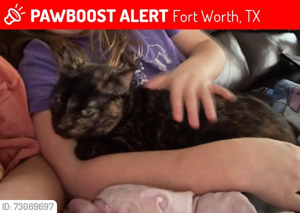 Lost Female Cat last seen Feathercrest, Fort Worth, TX 76137