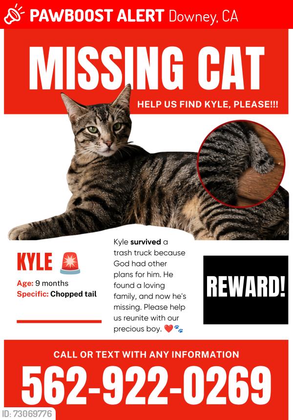 Lost Male Cat last seen Downey, Downey, CA 90241