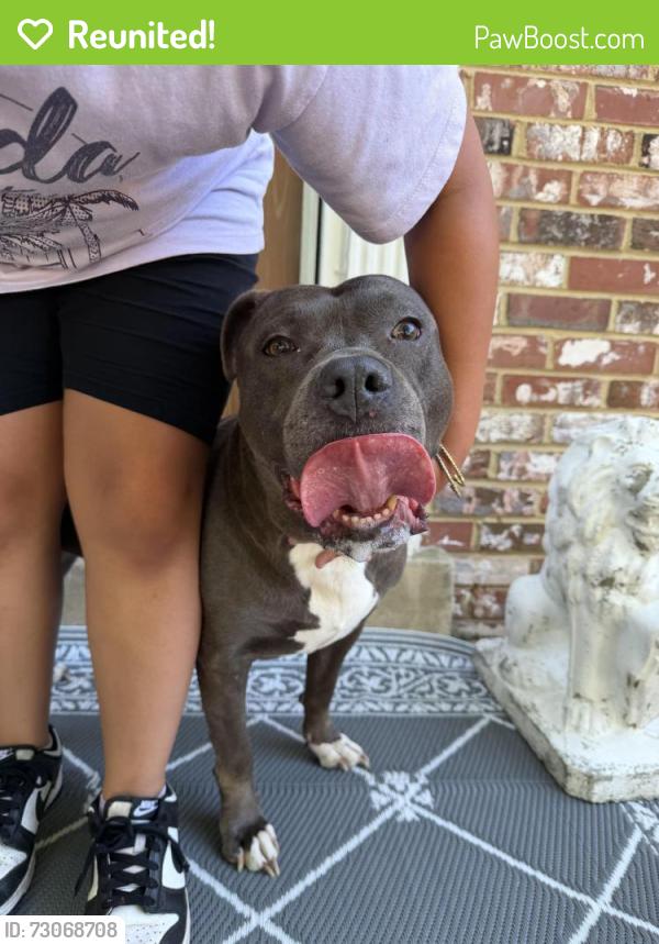 Reunited Female Dog last seen Near Buchanan DR  fort washington md , Fort Washington, MD 20744