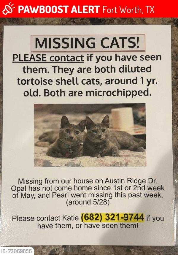 Lost Female Cat last seen Freestone Dr, Fort Worth, TX 76179