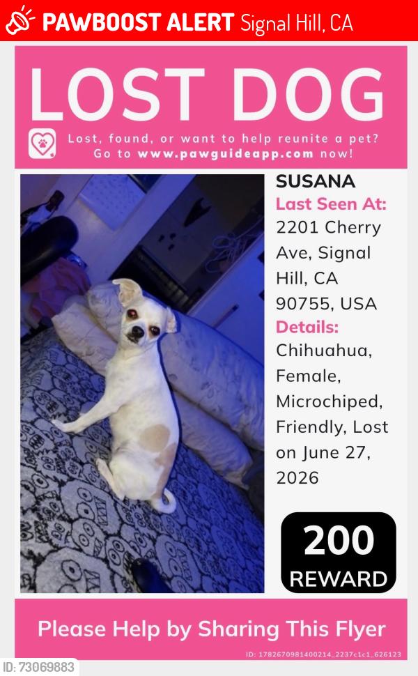 Lost Female Dog last seen Signal Hill, CA, USA, Signal Hill, CA 90755
