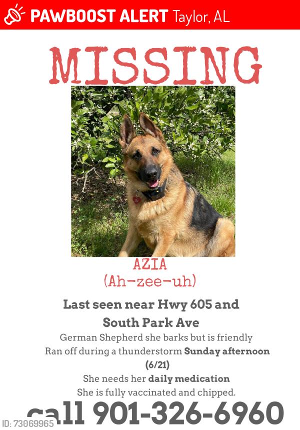 Lost Female Dog last seen Hwy 605 & S Park Avenue, Taylor, AL 36301