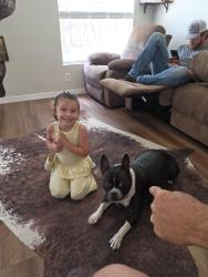 Lost Female Dog last seen Rockridge rd and Ranchland dr, Polk County, FL 33809