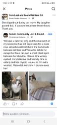 Lost Female Cat last seen Wofskill road, Winters, Solano County, CA 95694