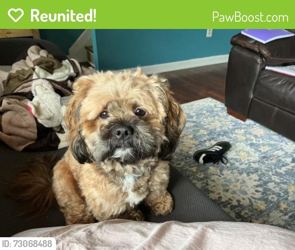 Reunited Male Dog last seen Madera Ct, Lapaz Ct, Euclid Ave, and Conner Dr all in Manassas Park, Manassas Park, VA 20111