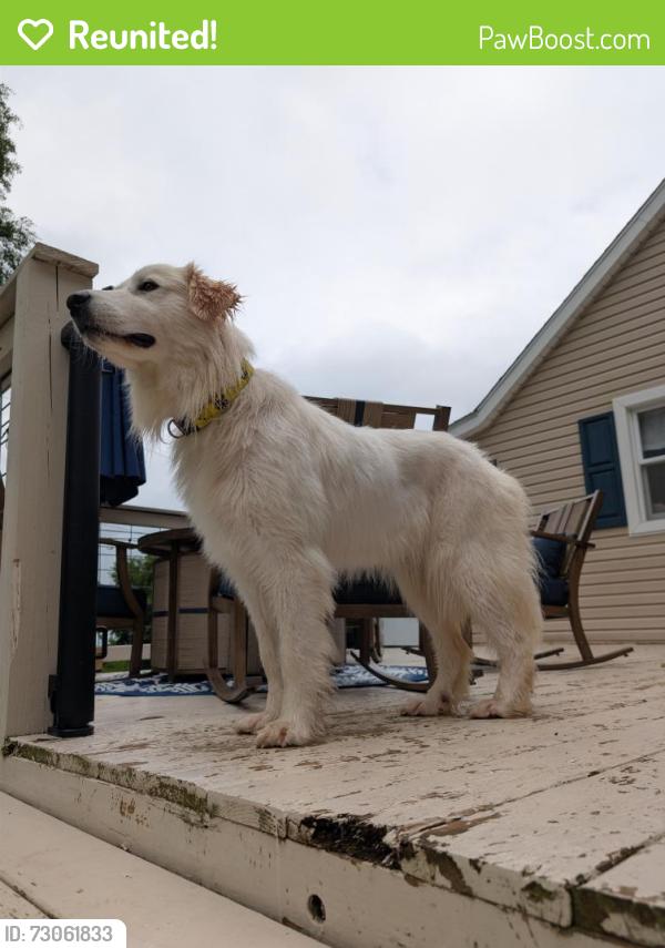 Reunited Female Dog last seen Bethlehem Lutheran Church, Washington County, PA 15301