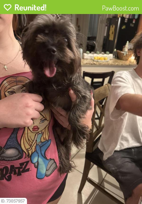 Reunited Unknown Dog last seen Near hire circle Ocoee Florida , Ocoee, FL 34761