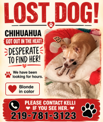 Lost Female Dog last seen Oakdale Hammond in, Hammond, IN 46323