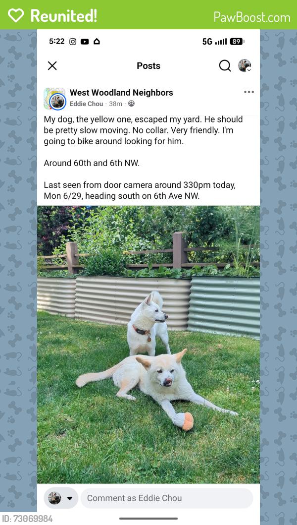 Reunited Male Dog last seen 60th St and 6th Ave NW, Seattle, WA 98107
