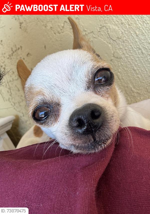 Lost Female Dog last seen Ravine rd, Vista, CA 92083