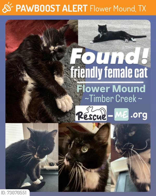 Found/Stray Female Cat last seen Cross Timbers Rd. Flower Mound, 300ft from Timber Creek, Flower Mound, TX 75028