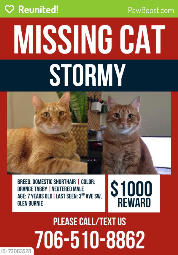 Reunited Male Cat last seen     3rd Ave SW & Crain Hwy, Glen Burnie, MD, Glen Burnie, MD 21061