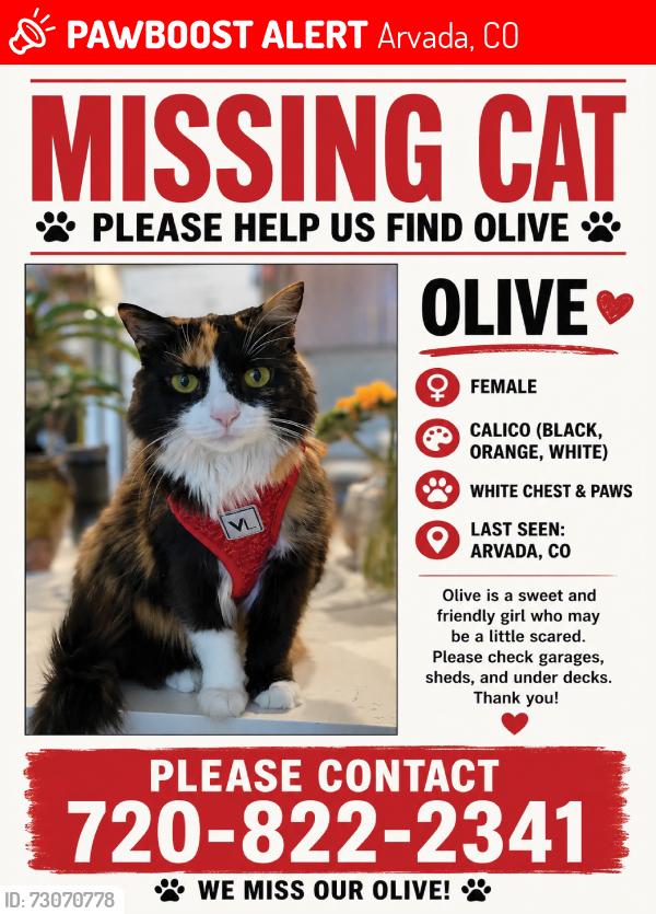 Lost Female Cat last seen 64th Avenue Intersection, Arvada, CO 80004